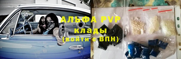 мет Алексин