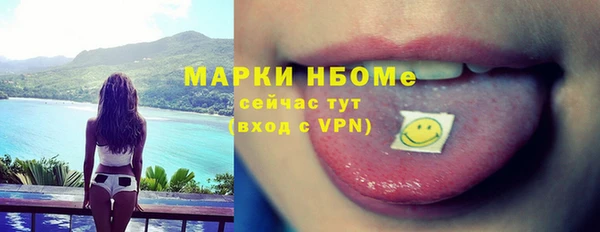 мет Алексин