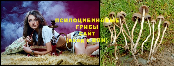 прущий лед Куйбышев