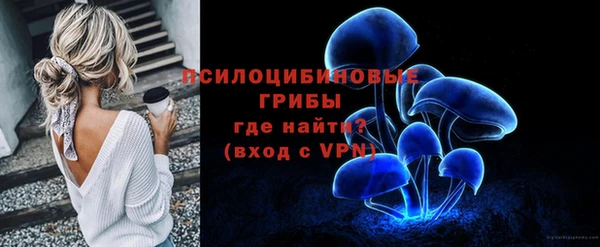 дурь Алексеевка