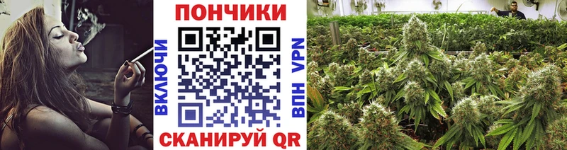 Шишки марихуана индика  Сосенский 